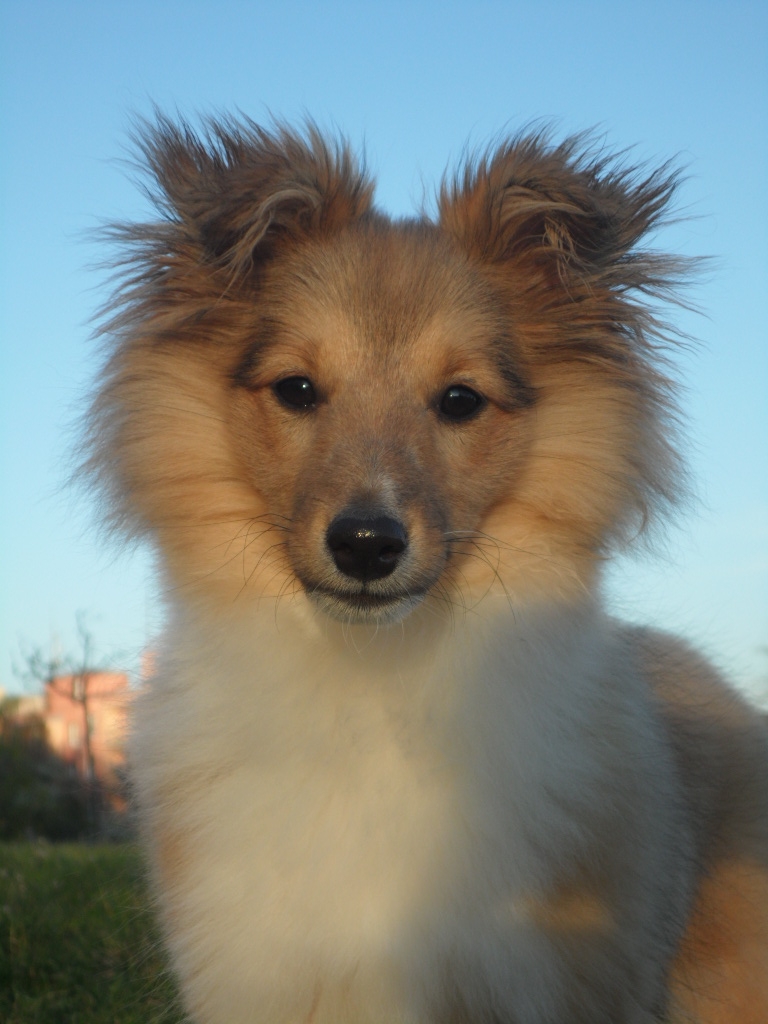 Benefit z Ďáblovy studánky